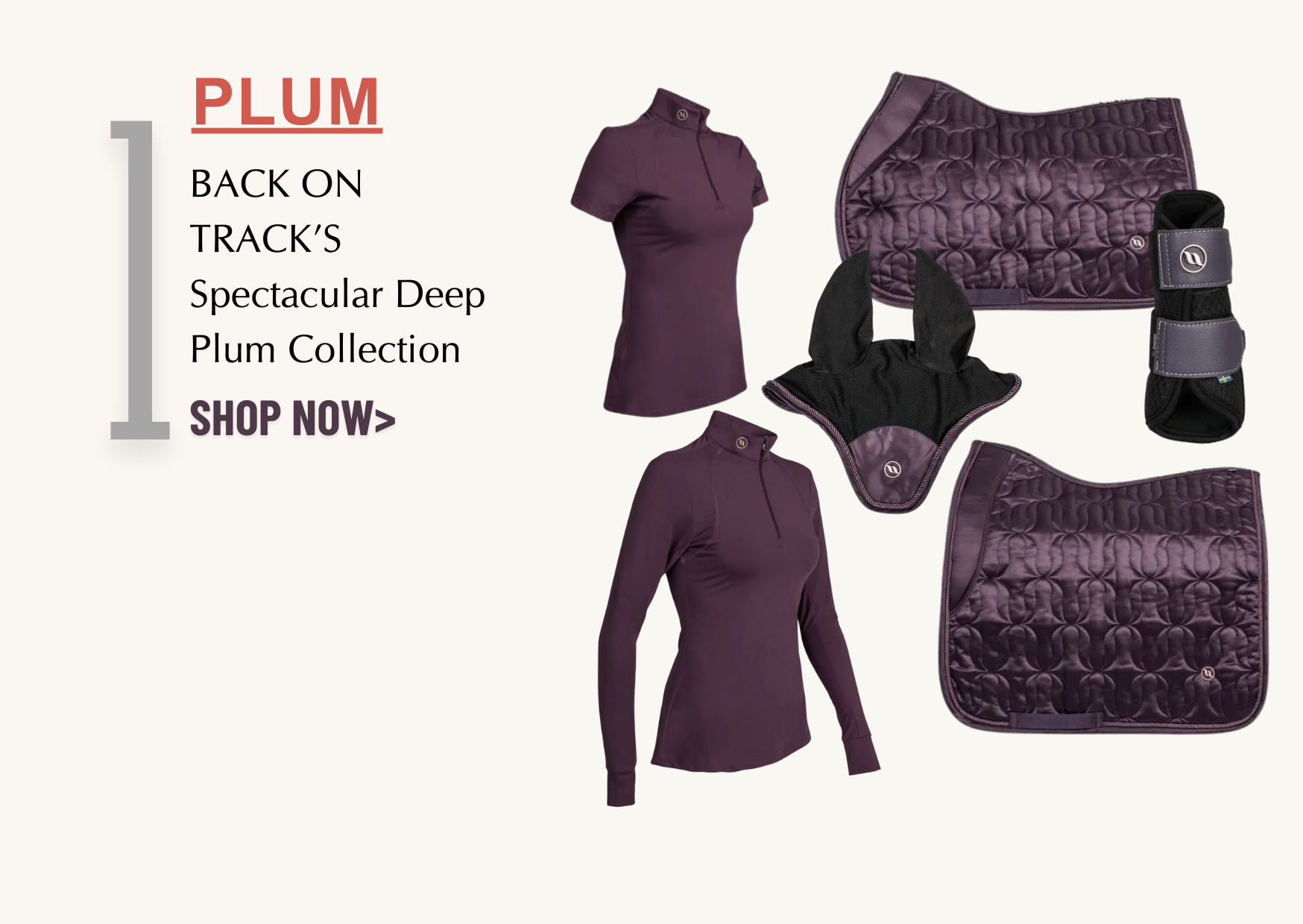 Back on Track - Plum Collection