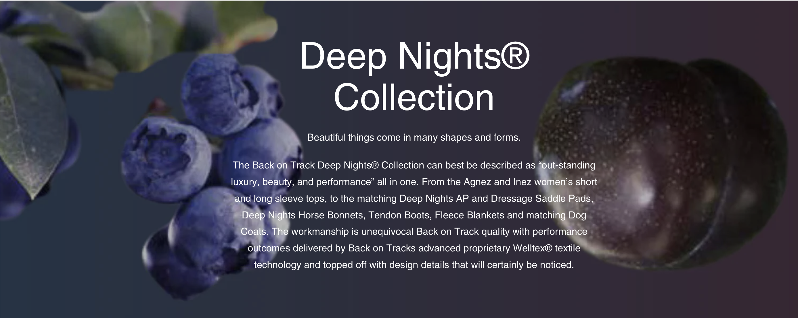 Deep Nights Collection