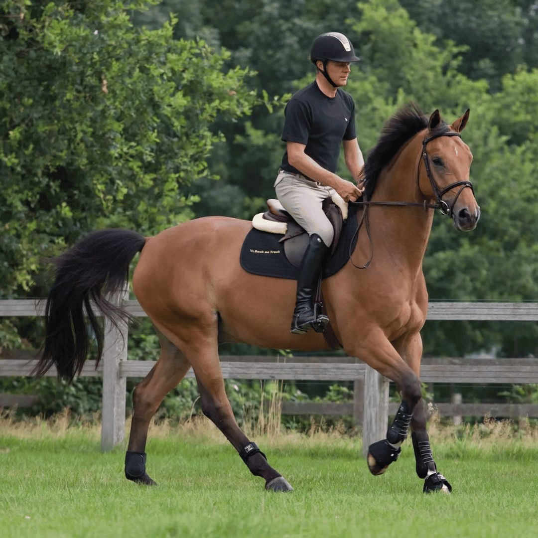 Back on Track Royal Work Front Boots