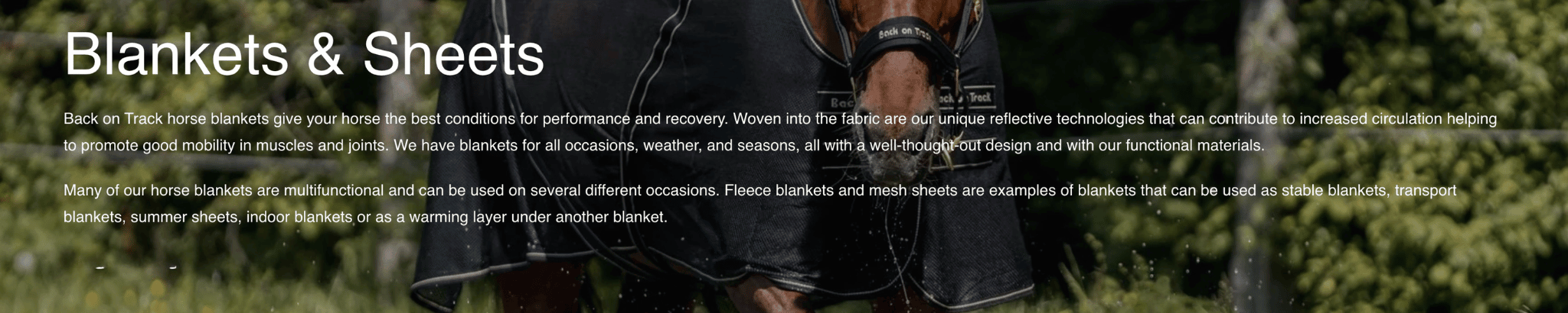 Back on Track Horse Clothing