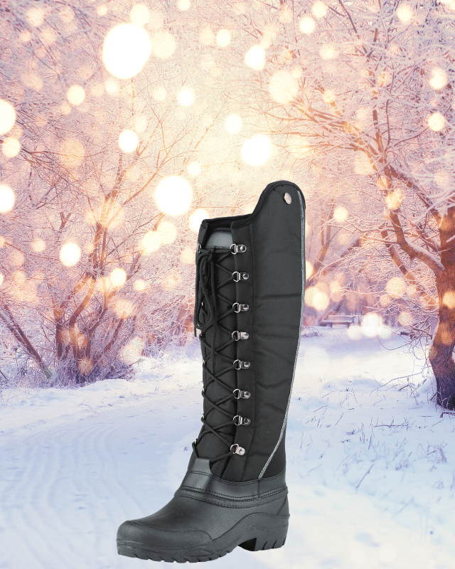 Shop for the Ovation Telluride Women's Winter Tall Boot