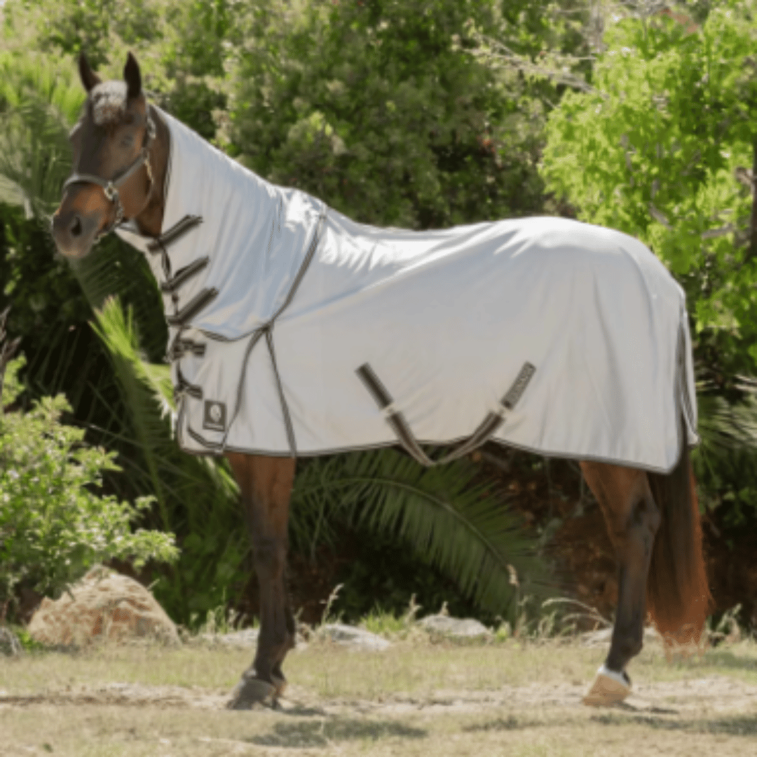 Equinavia Aktiv Athletic Fly Sheet