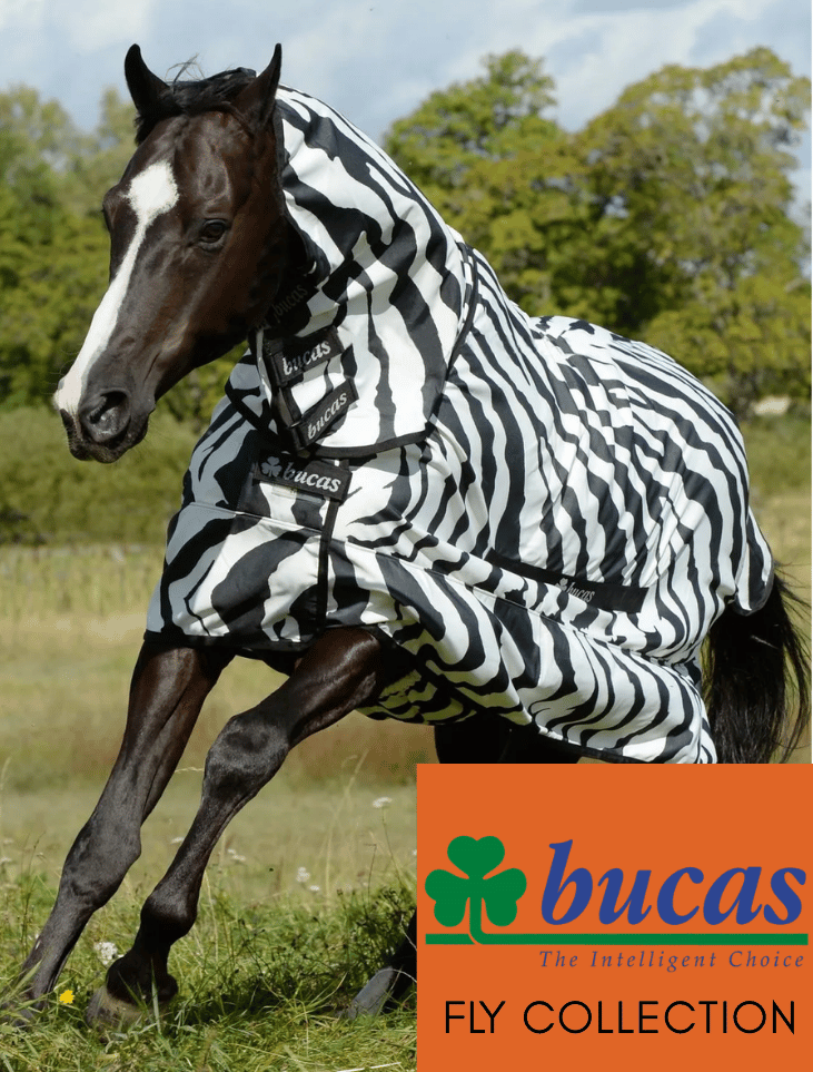 Bucas Fly Collection