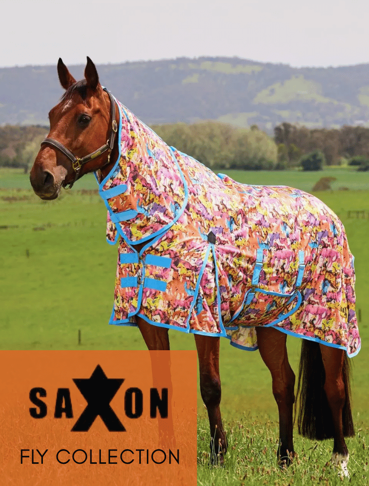 Up to 48% Off Saxon 