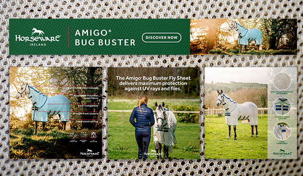 Amigo Bug Busters