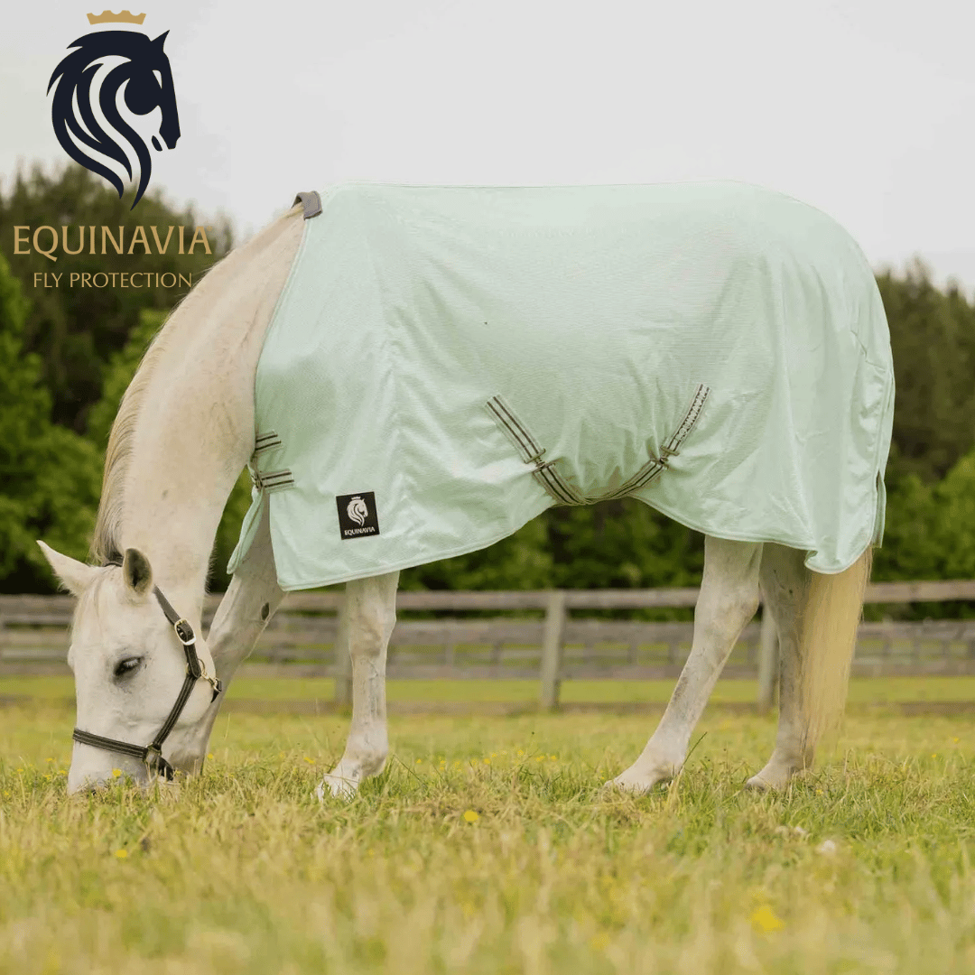 Equinavia Fly Protection