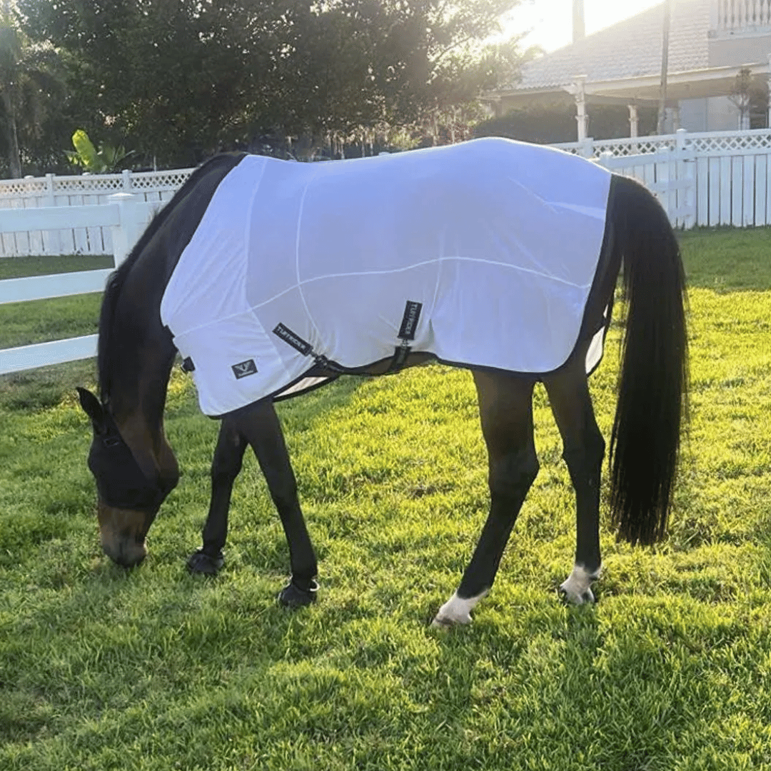 Shop Fly Sheets