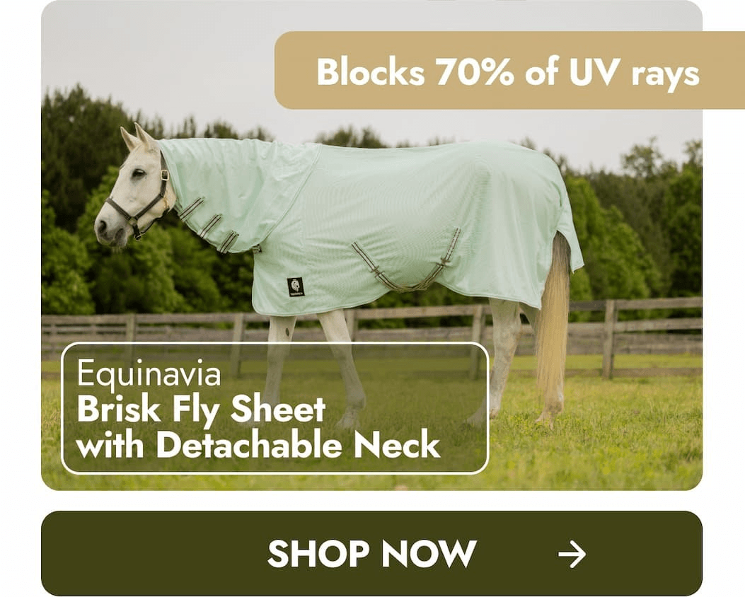 Equinavia Brisk Fly Sheet with Detachable Neck
