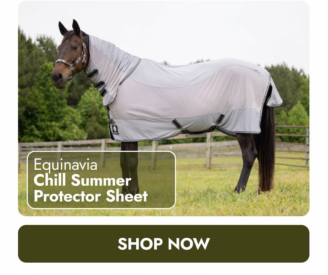 Equinavia Chill Summer Protector Sheet