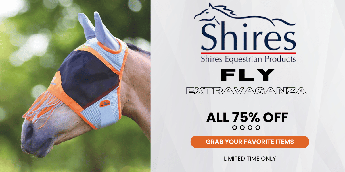 Shires 75% Off