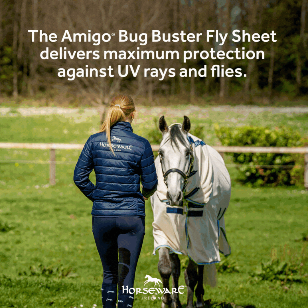 Amigo Bug Busters