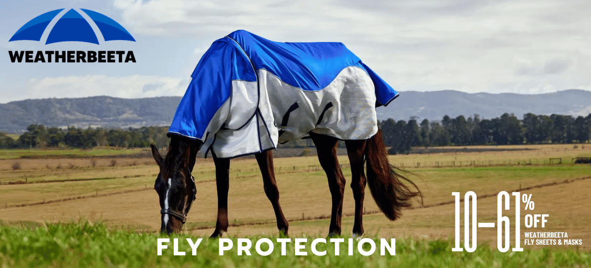 Weatherbeeta Fly Protection up to 62% Off