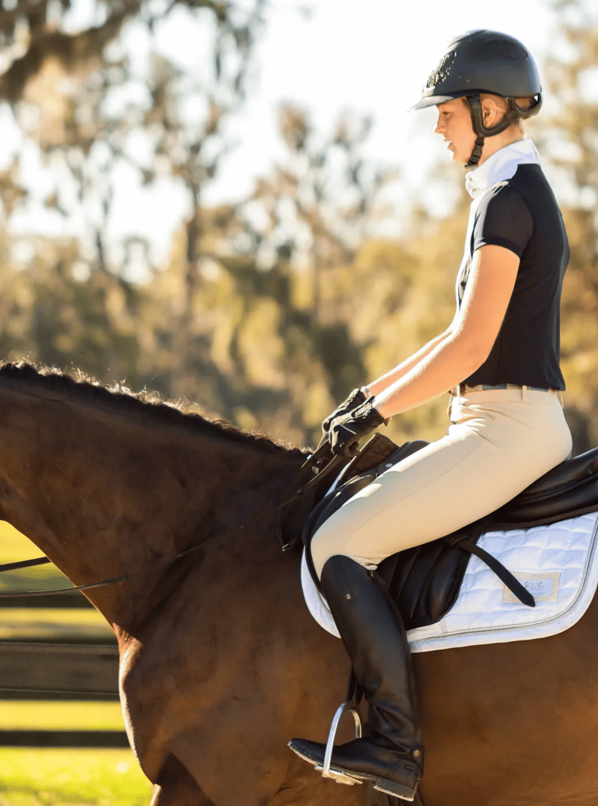 Equinavia Martha