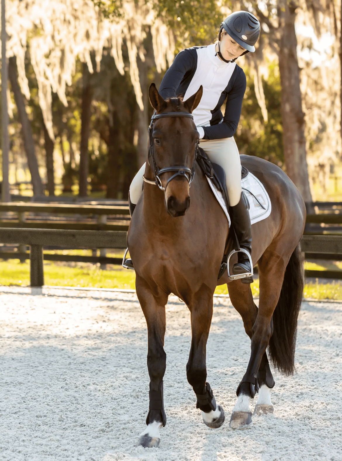 Equinavia Martha