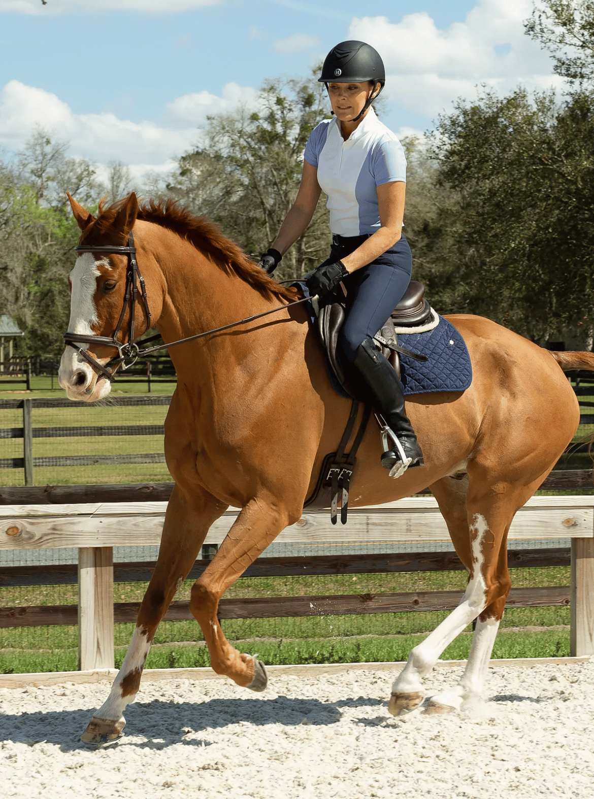 Equinavia Martha Show Shirts