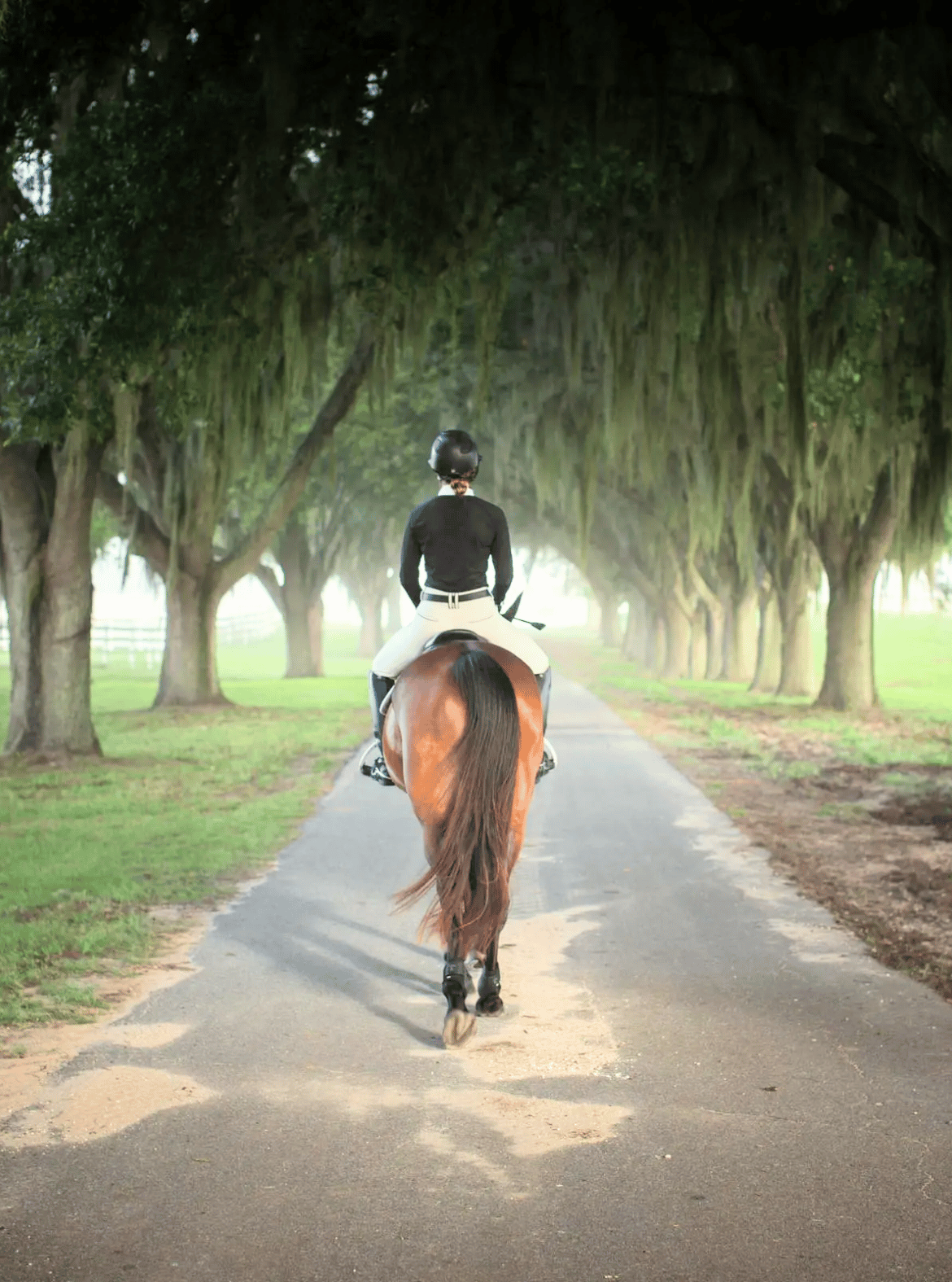 Equinavia Sara