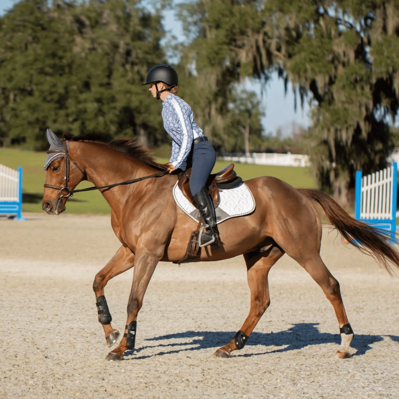 Equinavia NordicAir