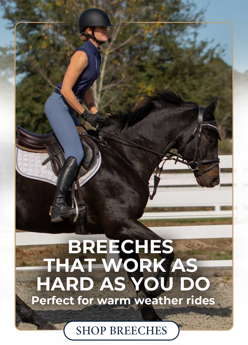 Equinavia Summer Breeches & Tights