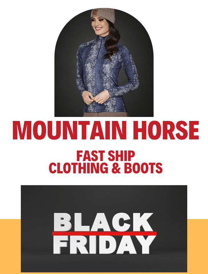 Mountain Horse Sale