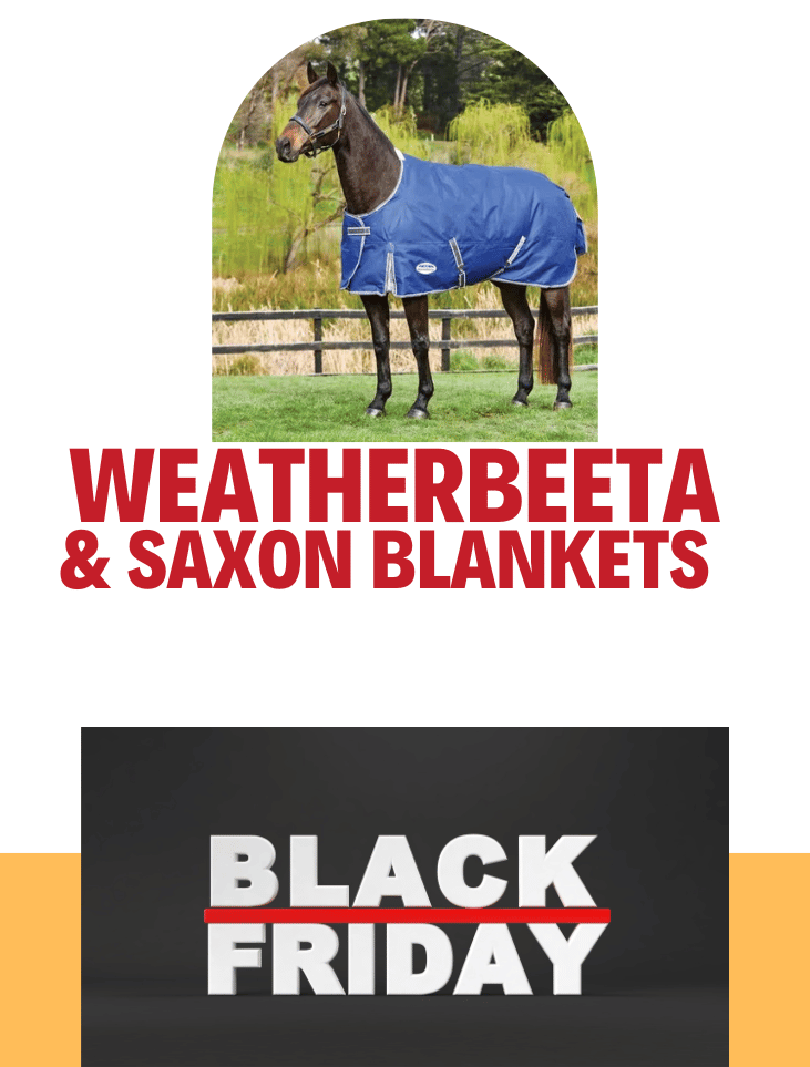 Weatherbeeta & Saxon Blankets
