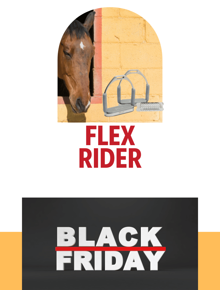 Flex Rider