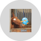 Shop for Deals on Barn, Stable & Arena Products