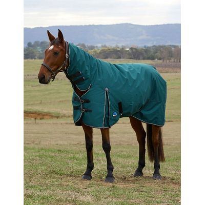 Weatherbeeta Comfitec Classic Turnout Combo 0g - Forest Green/Black