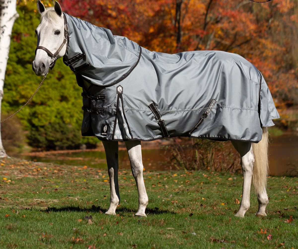 A gray horse in an Equinavia turnout in an autumn paddock