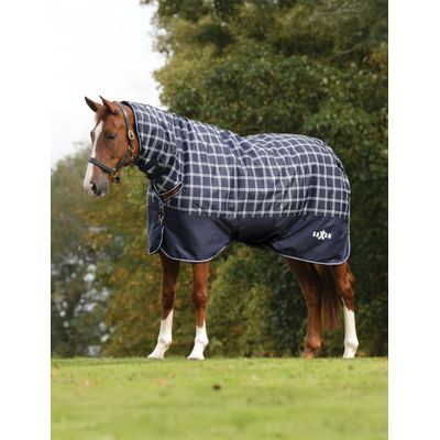 Saxon Defiant 600D Combo Neck Medium - Navy Plaid