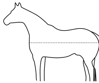 Measure from the center of the chest along the side to the tail