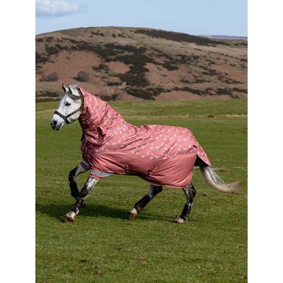 LeMieux Arika Star Turnout Rug 200g - Spiced Earth