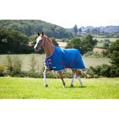 Shires Tempest Original Lite Turnout - Teal