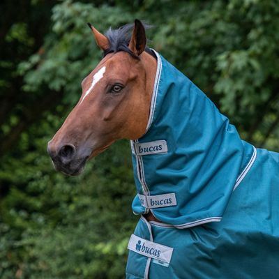 Bucas Atlantic Combi Neck 300G - Spruce