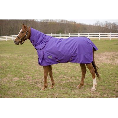 TuffRider 1200 D Comfy Detachable Neck Winter Turnout Blanket 200g - Purple