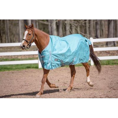 TuffRider 600 D Comfy Winter Standard Neck Turnout Sheet 0g - Turquoise