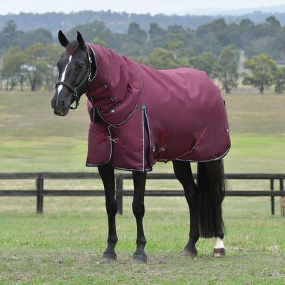 Weatherbeeta Comfitec Essential Turnout Detach-A-Neck 360G - Burgundy/Navy