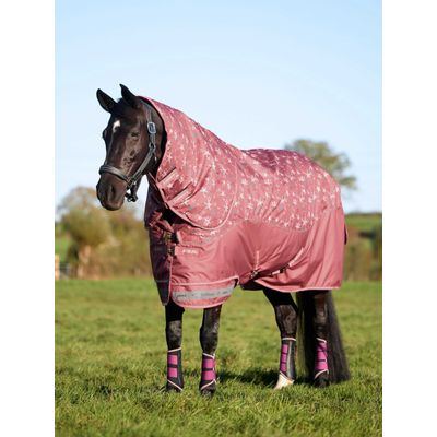 LeMieux Arika Star Turnout Rug 0g - Spiced Earth