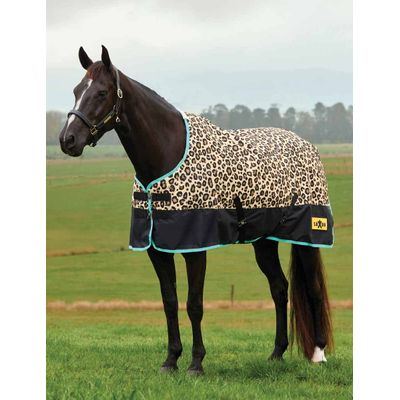 Saxon Defiant 600D Standard Neck Medium - Leopard Print