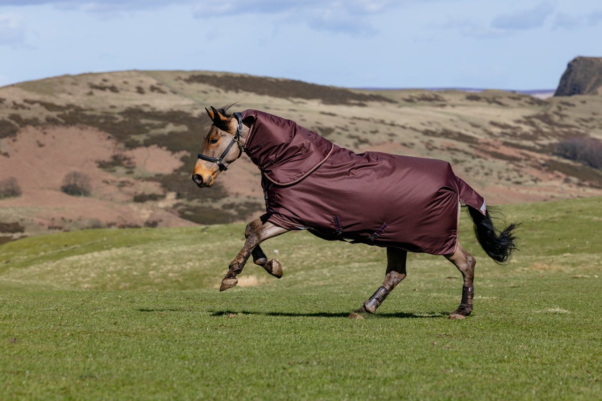 A horse in a bramble-red LeMieux Arika turnout walking across a hillside