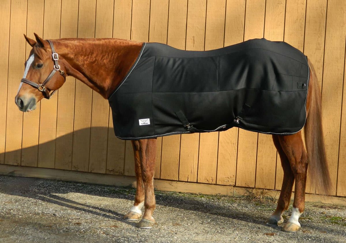 A chestnut horse in a black TuffRider stable blanket in front of a barn wall