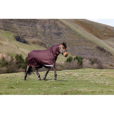LeMieux Arika 600D Ripstop 0g Turnout Blanket - Bramble