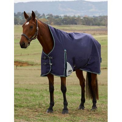 Weatherbeeta Comfitec Plus Dynamic Turnout High Neck 220g - Navy/Forest Green