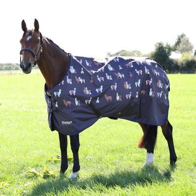 Shires Tempest Original 200 Turnout - Alpaca