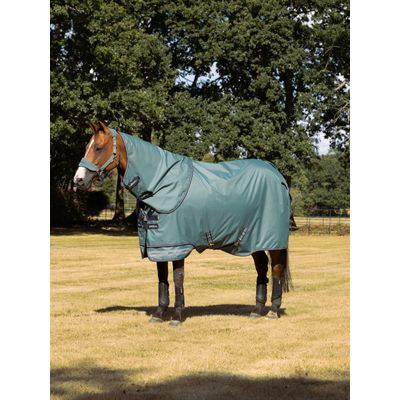 LeMieux Arika 600D Ripstop 0g Turnout Blanket - Aloe