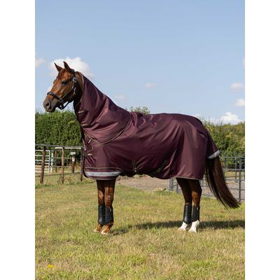 LeMieux Arika 600D Ripstop 200g Turnout Blanket - Bramble