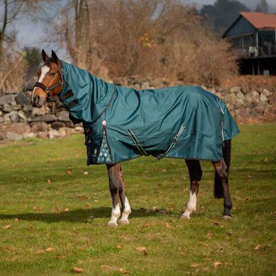 Equinavia Arktis Regular Neck Turnout Sheet - Deep Green