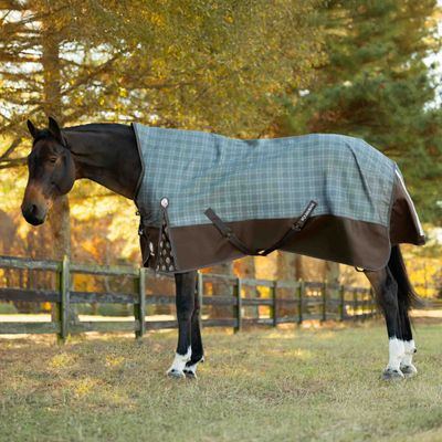 Equinavia Arktis Extended Neck Light Weight Turnout Blanket 100g - Dark Brown/Thyme