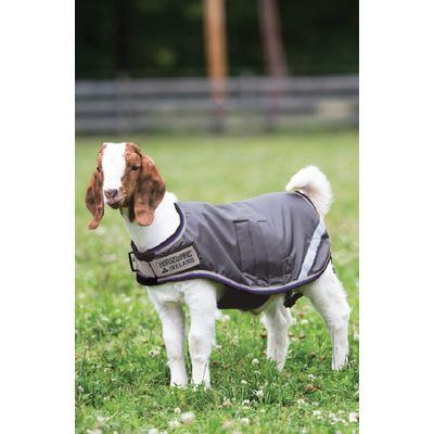 Horseware Goat Rug 100g - Excalibur/Silver/Strong Blue/Black