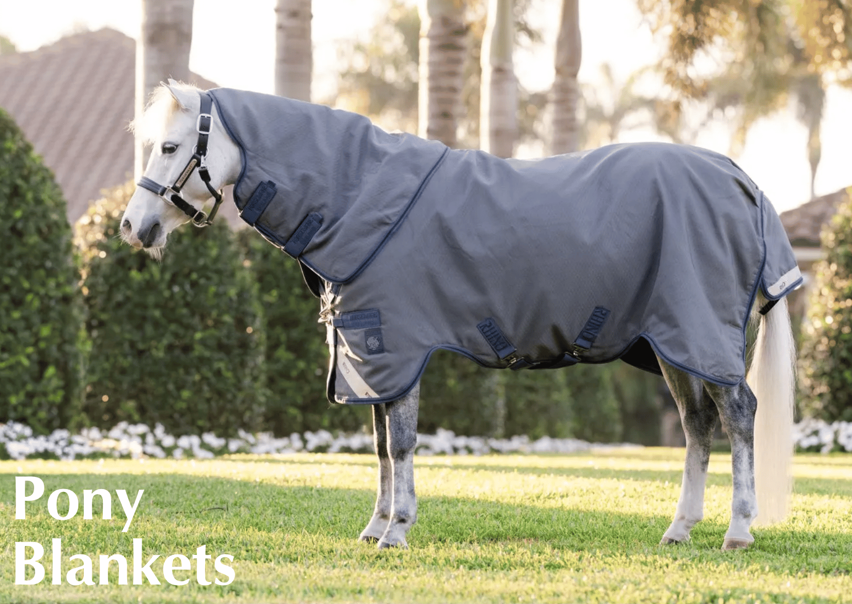 Shop Pony Blankets
