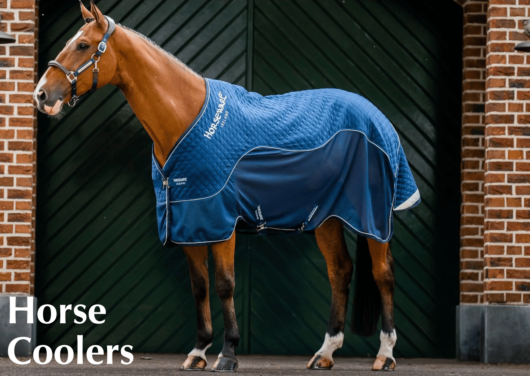 Shop Horse Coolers